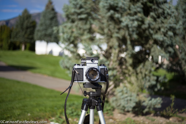 Pentax 40mm f-2.8 SMC Review Bokeh Blur at f2.8-1